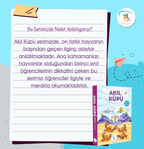 5 Renk 1. Sınıf Akıl Küpü Hikaye Seti (10 Kitap)